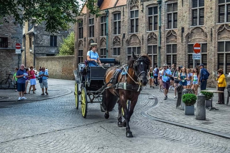 From Amsterdam: Private Sightseeing Tour to Bruges - The 3-hour ride from Amsterdam: long enough to plan, short enough to enjoy