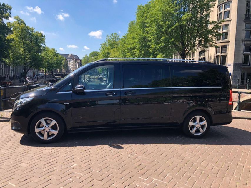 From Amsterdam: The Hague and Delft Sightseeing Tour - Mauritshuis: why the included entry ticket makes the museum stop easier