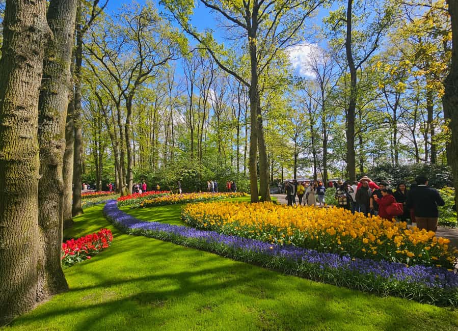 From Amsterdam: Tulip Tour Keukenhof & City Tour Delft - Who this tour is best for (and who should think twice)