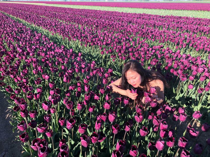 From Amsterdam: Tulip Tour Keukenhof & City Tour Delft - Price and value: what you’re paying for at $169
