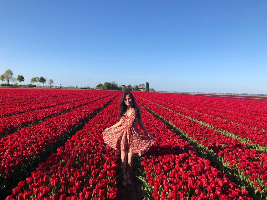 From Amsterdam: Tulip Tour Keukenhof & City Tour Delft - What kind of guide experience you should expect