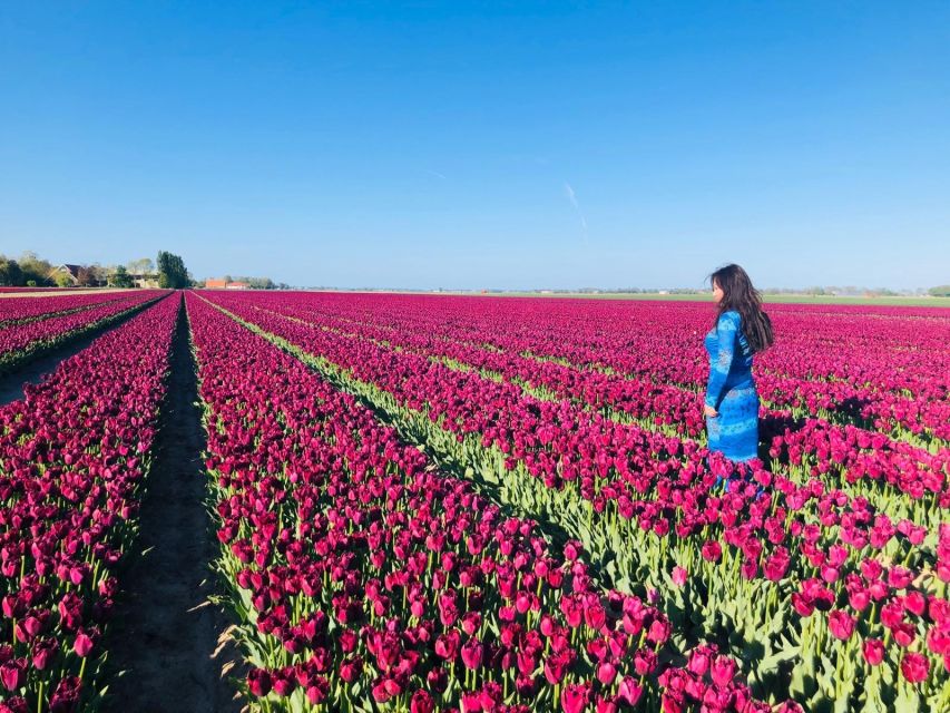 From Amsterdam: Tulip Tour Keukenhof & City Tour Delft - Getting from Amsterdam to Keukenhof without turning it into a headache