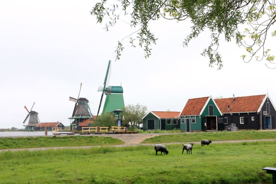 From Amsterdam: Windmills of Zaanse Schans Tour - Price and value: why $29 can make sense