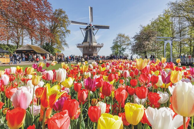 Full-Day Skip the Line Keukenhof and Canal Cruise from Amsterdam - Key highlights I think matter