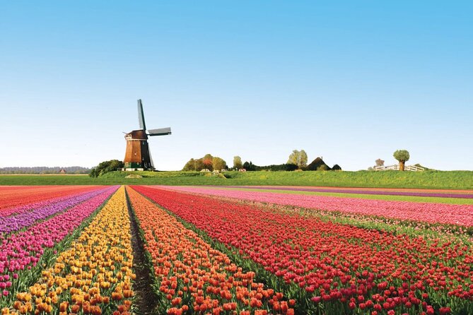 Full-Day Skip the Line Keukenhof and Canal Cruise from Amsterdam - Keukenhof, sorted: skip the waiting and keep your day flexible