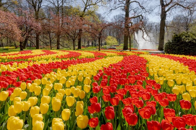 Full-Day Skip the Line Keukenhof and Canal Cruise from Amsterdam - Price and value: what you’re paying for