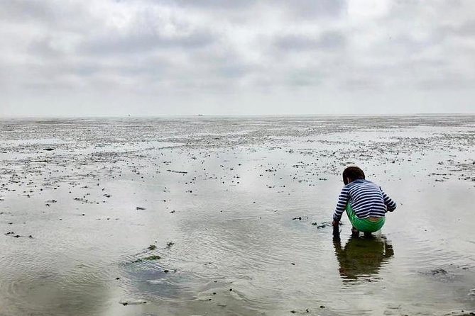 Full day tour to Texel - Friesian Islands - from Amsterdam - Texel’s 5 Hours: Villages, Dunes, Nature Reserves, and the Lighthouse Feel