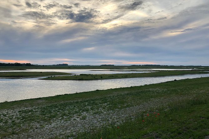 Full day tour to Texel - Friesian Islands - from Amsterdam - Family-Friendly Island Time: Good for Kids (with the Right Adult)