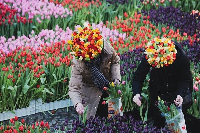 Full-Day Trip From Amsterdam to Keukenhof, Zaanse Schans + Cruise - From Lisse to the gardens: why this is more than just pretty photos