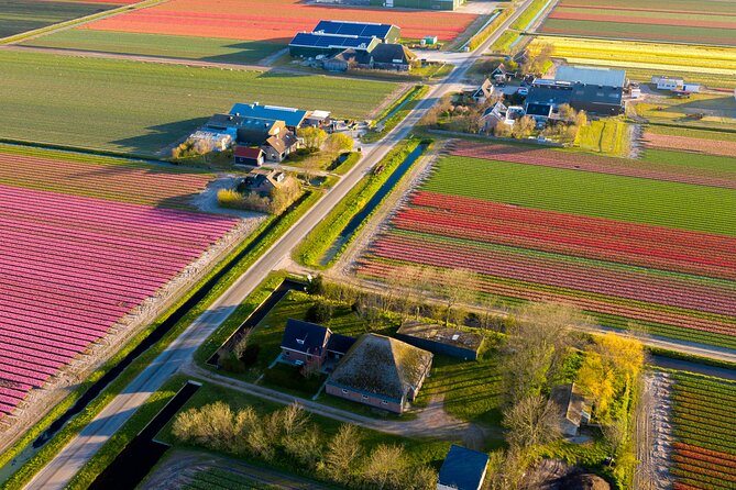 Guided Bike Tour along the Dutch Tulip Fields in Noord Holland - Key Highlights You’ll Feel Right Away