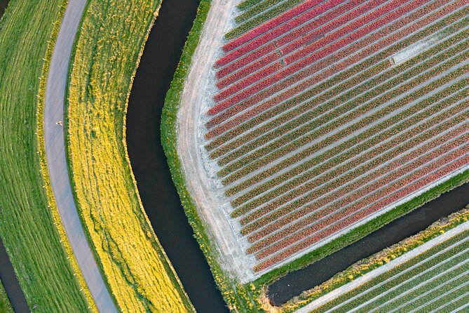 Guided Bike Tour along the Dutch Tulip Fields in Noord Holland - Price and Value: Is This $119.21 Half-Day Worth It?
