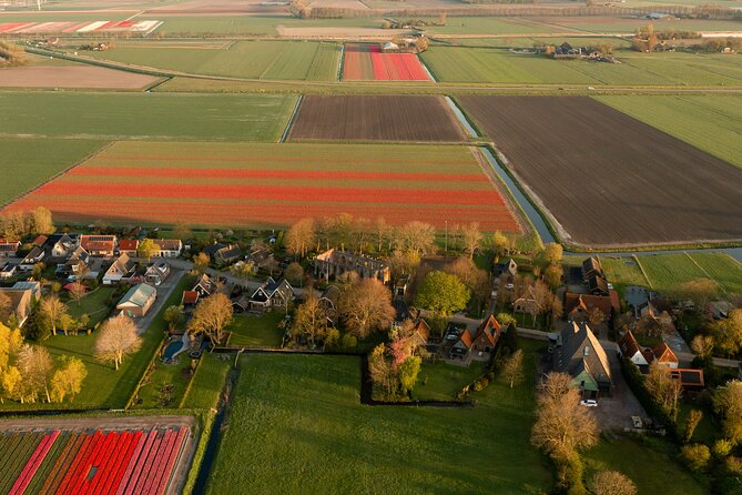 Guided Bike Tour along the Dutch Tulip Fields in Noord Holland - Tulip Fields That Change as You Ride