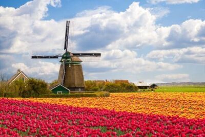 Guided Day Trip - Volendam, Zaanse Schans, Marken & Edam - Zaanse Schans windmills: what an operating mill feels like