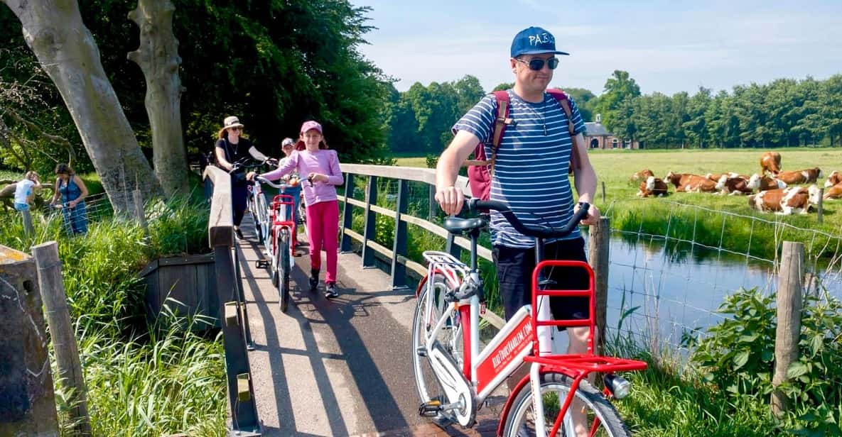 Haarlem Highlights Bike Tour - Windmills and the visual identity of Haarlem