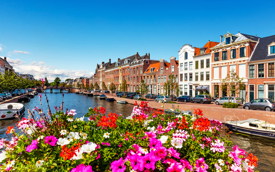 Haarlem Highlights Bike Tour - Insider lanes: where the tour earns its value