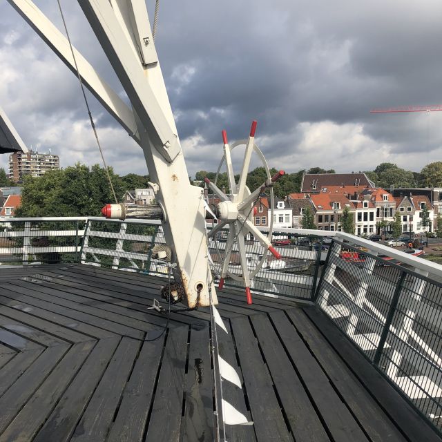 Haarlem: Windmill 'De Adriaan' Guided Tour - Should You Book This Windmill Tour in Haarlem?