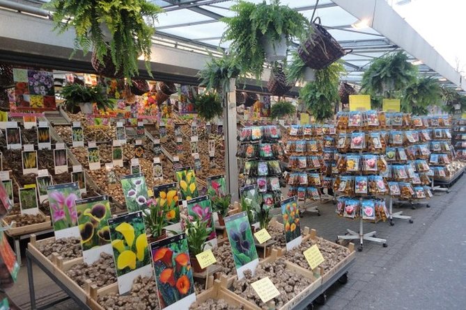 Half-Day Tour of Red Light District and Jordaan District with Private Guide in Amsterdam - Finding Your Guide Near Central (And Getting Your Bearings Fast)