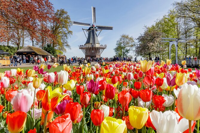 Keukenhof, Flower Fields, Volendam and Zaanse Schans Small-Group Tour - Key points before you go