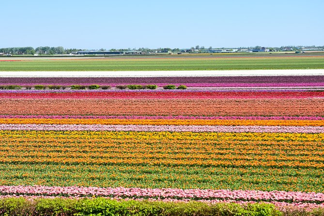 Keukenhof, Flower Fields, Volendam and Zaanse Schans Small-Group Tour - Keukenhof Gardens: 3 hours, 15 km of footpaths, and million-bulb scale