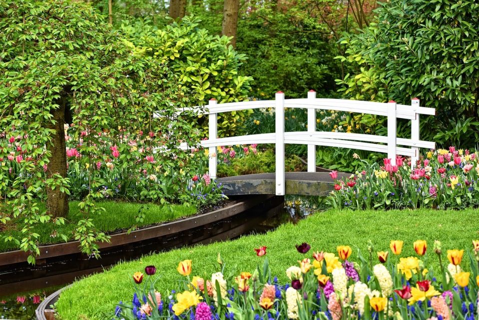 Keukenhof Gardens and Tulip Experience Tour from Amsterdam - Arriving at Keukenhof: 32 hectares of color, not just a postcard walk