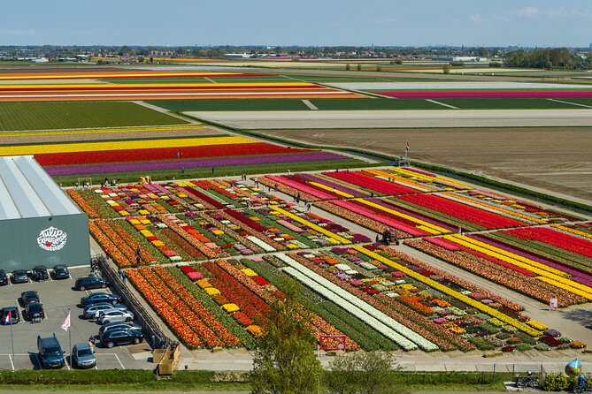 Keukenhof Gardens and Tulips Private Tour from Amsterdam - Key highlights worth planning around