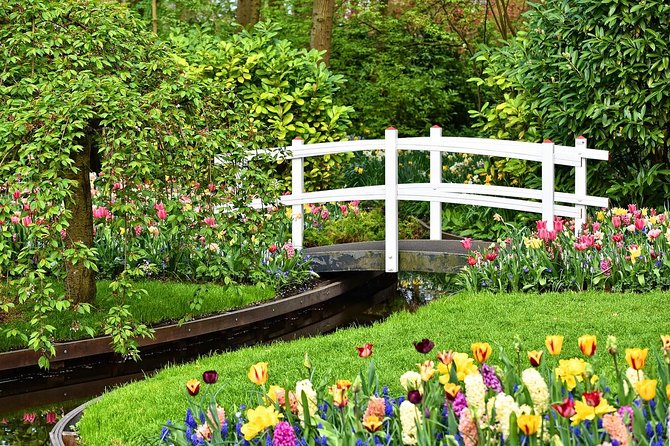 Keukenhof Gardens and Tulips Private Tour from Amsterdam - Tulip Experience Amsterdam: Museum storytelling, then color outside