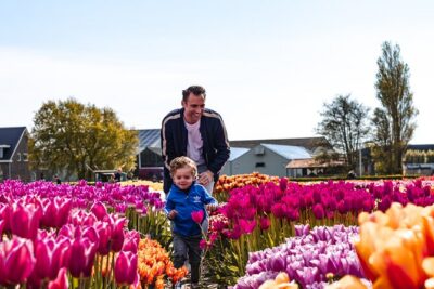 Keukenhof Gardens and Tulips Private Tour from Amsterdam - Keukenhof Gardens entry: Reserved tickets and real walking time