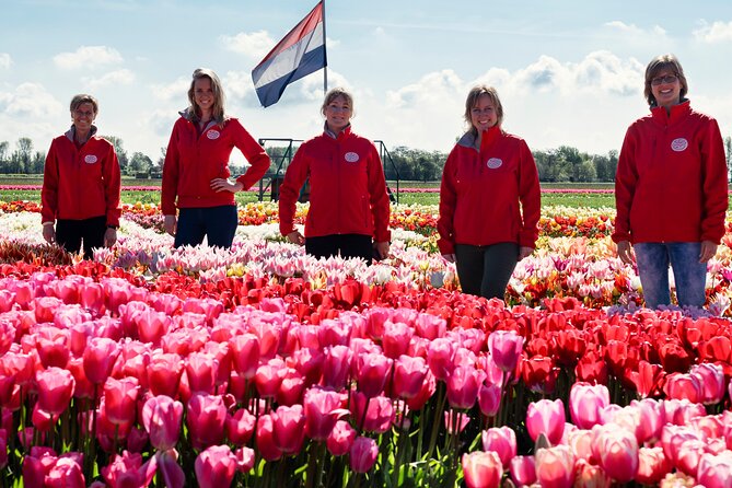 Keukenhof Gardens and Tulips Private Tour from Amsterdam - The route in plain English: how your 5-hour day usually feels