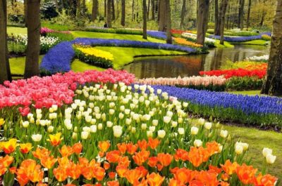 Keukenhof Gardens & Tulip Experience Tour from Amsterdam - Tulip Experience Amsterdam: More Than a Photo Stop