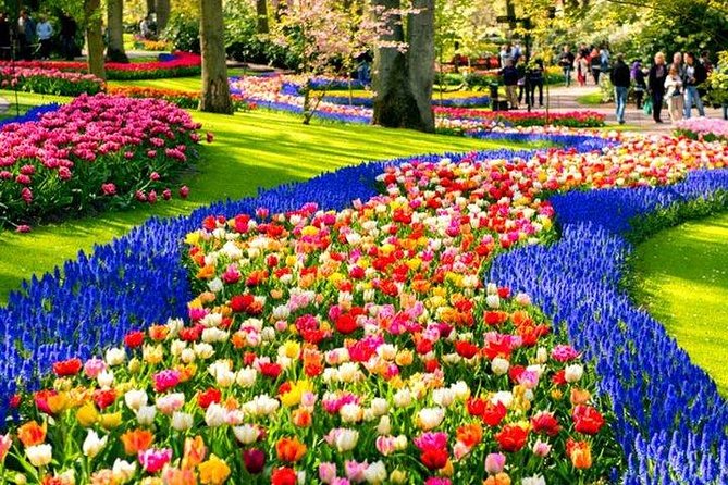 Keukenhof Skip-the-line Tickets: Countryside & Farm Private Tour - Key highlights worth the hype