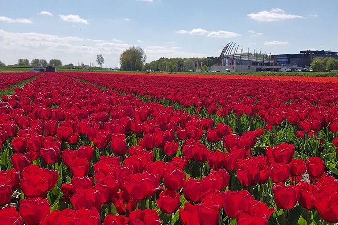 Keukenhof Skip-the-line Tickets: Countryside & Farm Private Tour - Jacobs Hoeve by Henri Willig: Dutch cheese you can actually taste