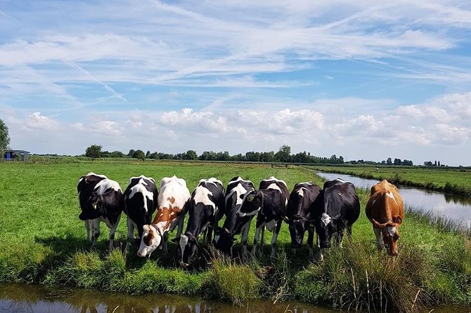 Keukenhof Skip-the-line Tickets: Countryside & Farm Private Tour - Volendam (and the quick Edam moment): fishing village time