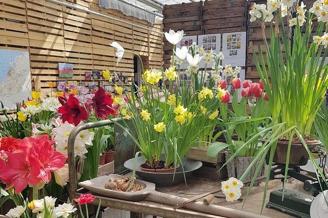 Keukenhof Skip-the-line Tickets: Countryside & Farm Private Tour - Lisse flower fields and a bulb farm start the day right