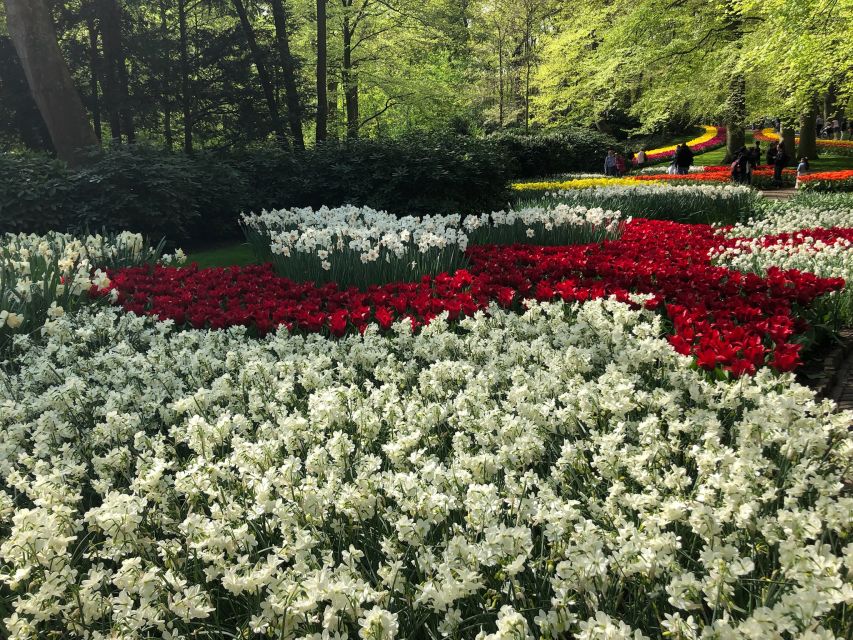 Keukenhof, Tulip Farm, Flower Fields & Windmills - Key points worth knowing before you go