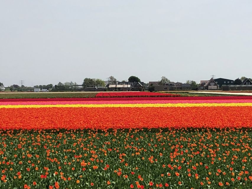 Keukenhof, Tulip Farm, Flower Fields & Windmills - Price and value: what $347 per person buys you