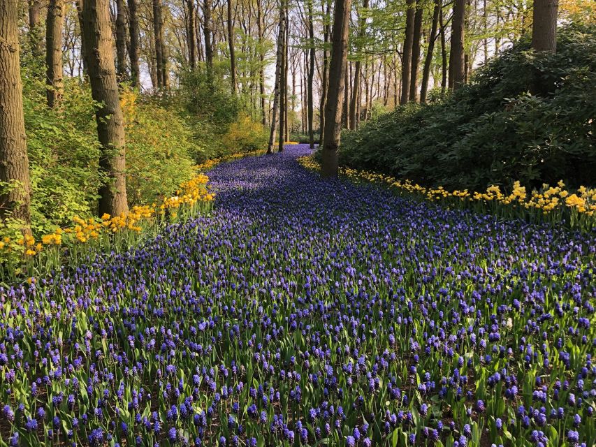 Keukenhof, Tulip Farm, Flower Fields & Windmills - What to pack: layers, jackets, and shoes for cobblestones