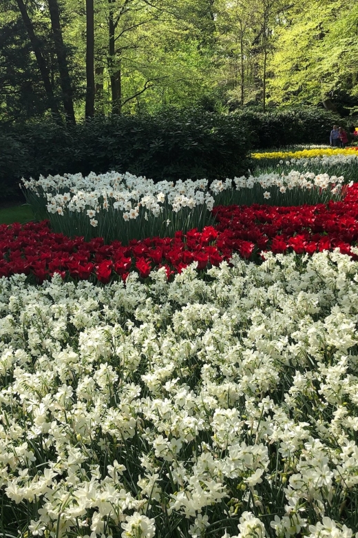 Keukenhof, Tulip Farm, Flower Fields & Windmills - Zaanse Schans: working windmills and how Dutch products were made