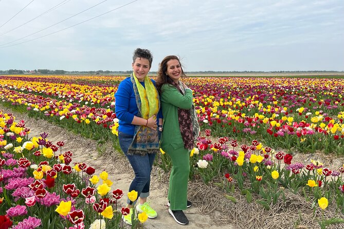 Keukenhof, Tulip Farm, Flower Fields & Zaanse Schans Windmills - Zaanse Schans Windmills: Working Heritage and Closer Details