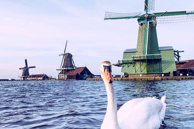 Keukenhof, Tulip Farm, Flower Fields & Zaanse Schans Windmills - Who This Tour Is Best For (and Who Might Want Something Else)