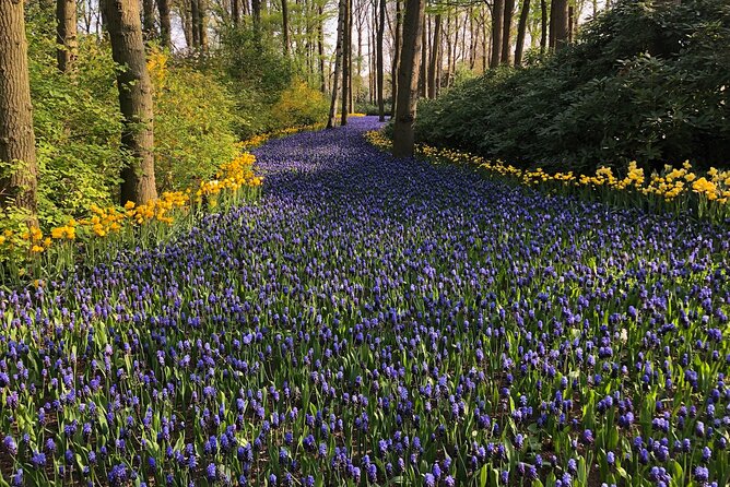 Keukenhof, Tulip Farm, Flower Fields & Zaanse Schans Windmills - The Flower Fields Photo Breaks: Getting Out for Real Views