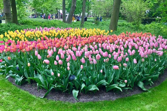 Keukenhof, Zaanse Schans Windmills Private Tour with Lunch - Keukenhof Gardens: How to Make Three Hours Count