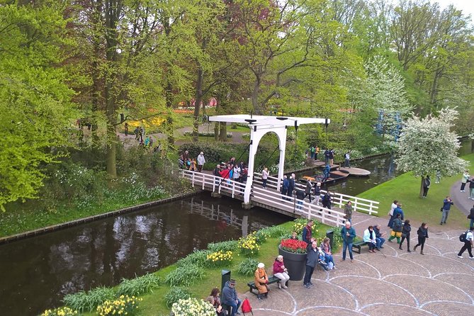 Keukenhof's Tulips and Windmills Small-Group Tour from Amsterdam - Price and What You Actually Get for the Money