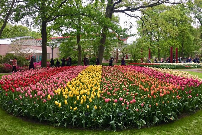 Keukenhof's Tulips and Windmills Small-Group Tour from Amsterdam - Clogs at the Workshop: Small Time Stop, Big Photo Payoff