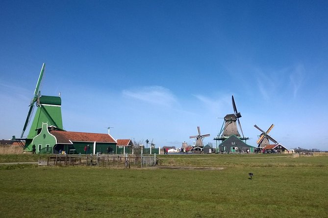 Keukenhof's Tulips and Windmills Small-Group Tour from Amsterdam - Gouda Cheese Farm: Tasting With Context (Not Just a Sample Line)