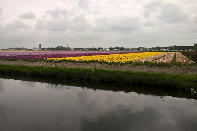 Keukenhof's Tulips and Windmills Small-Group Tour from Amsterdam - Molen De Kat Windmill: The Climb People Actually Remember
