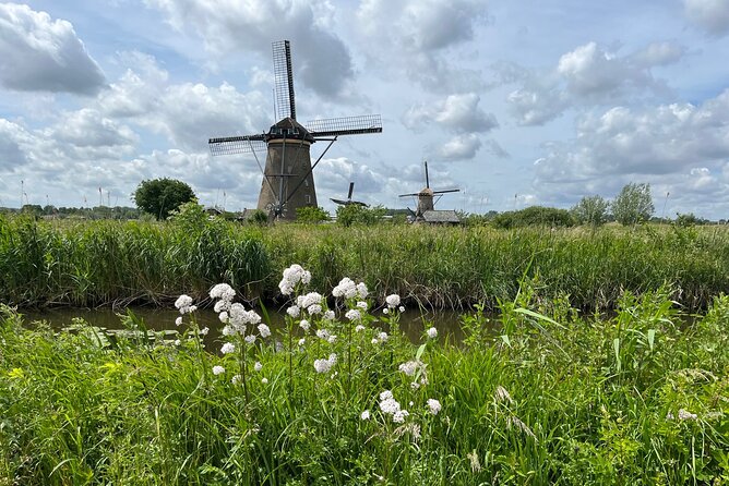 Kinderdijk Windmills, Delft City & Delft Blue Factory Visit - The guide touch: how Steven helps you understand what you’re seeing