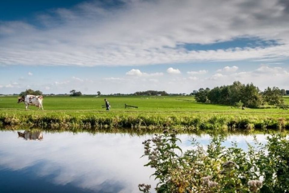Leiden: Windmill and Countryside Cruise near Keukenhof - Key highlights I’d plan around