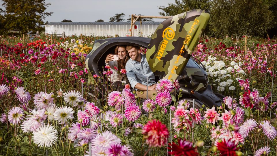 Lisse: Drive-it-Yourself Summer Flower GPS Audio Tour - Key points you’ll care about