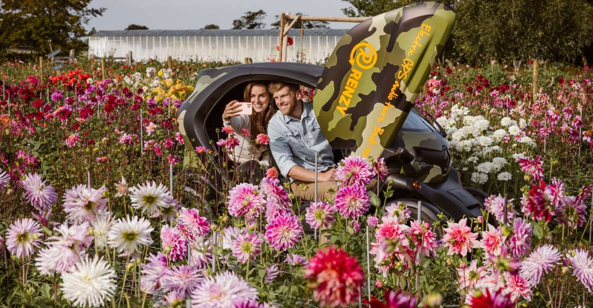 Lisse: Drive-it-Yourself Summer Flower GPS Audio Tour - Where to meet (Meer en Duin 44) and how the start works