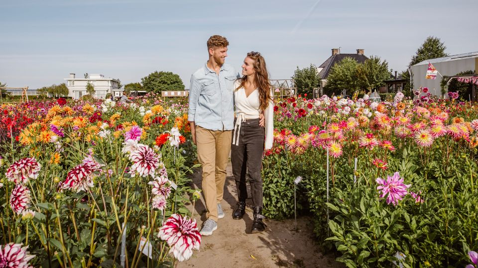 Lisse: Drive-it-Yourself Summer Flower GPS Audio Tour - Price and what you really get for $52 per person